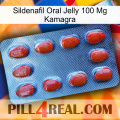 Sildenafil Oral Jelly 100Mg Kamagra 06